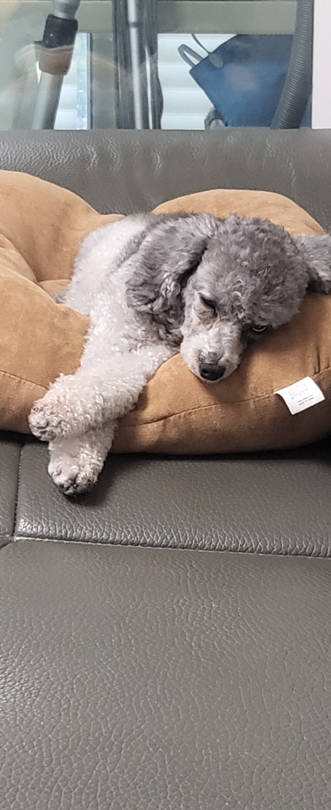 집에가고싶은나에요