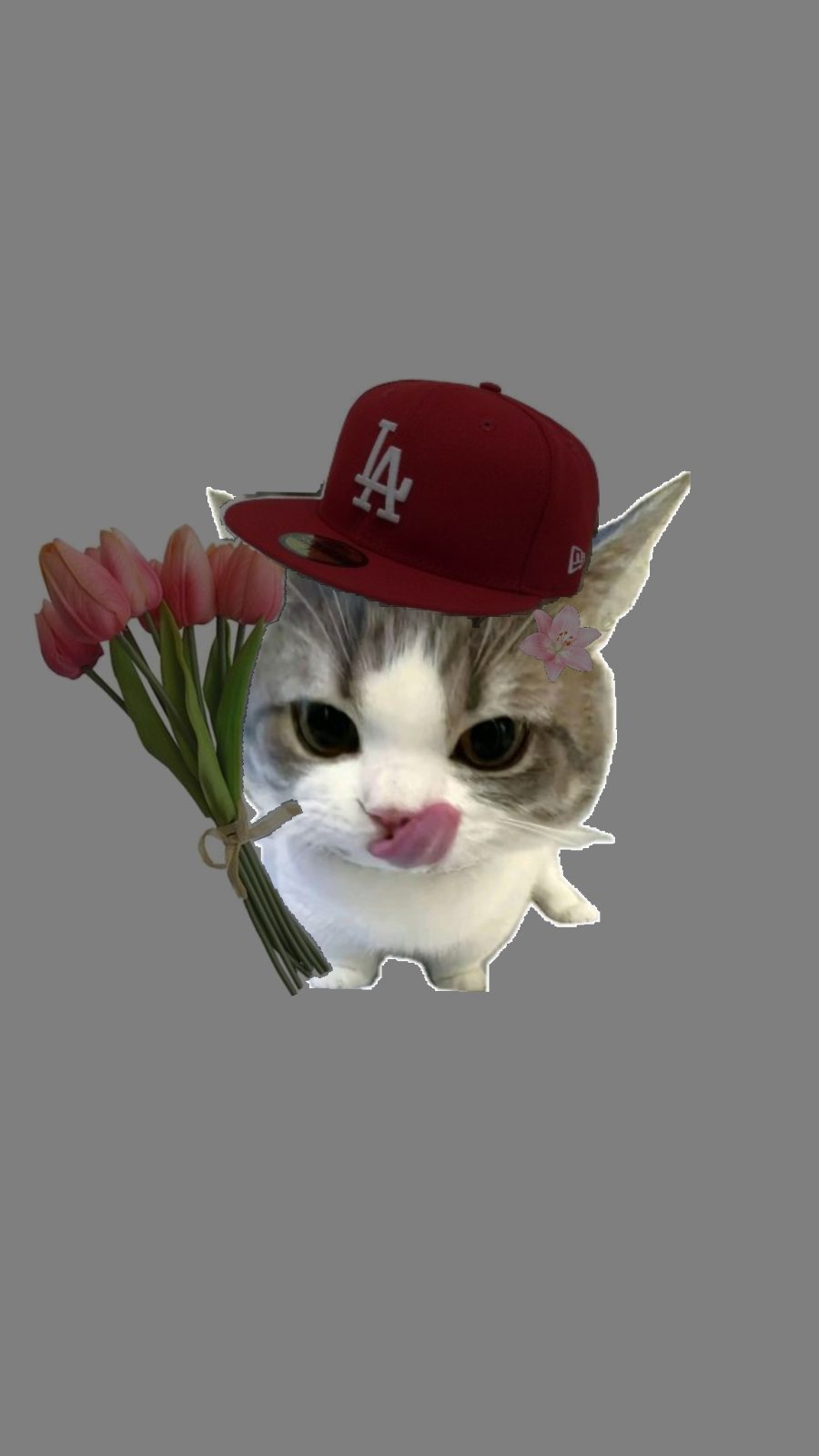 키키148